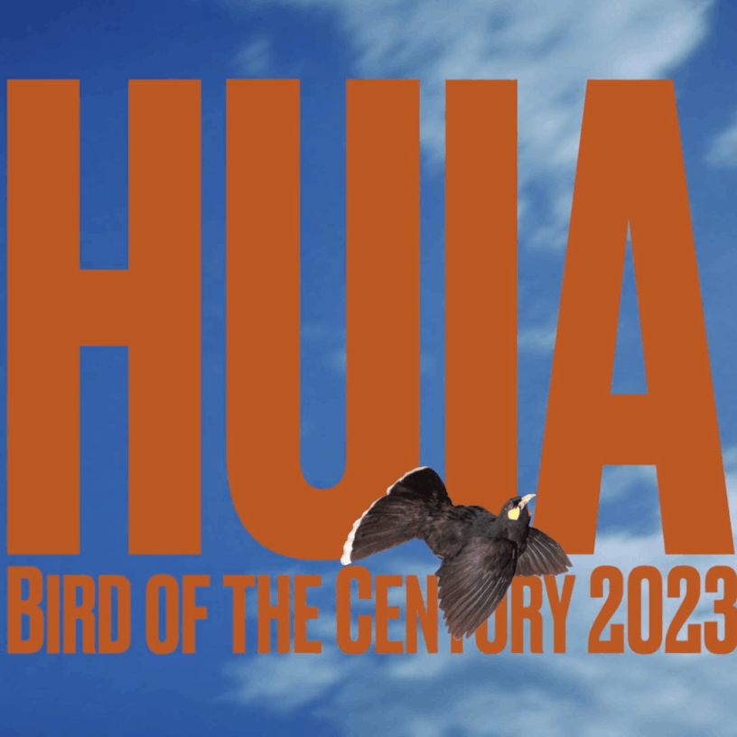 Huia
